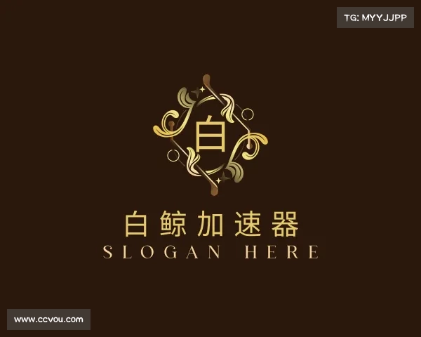 知道白鲸加速器